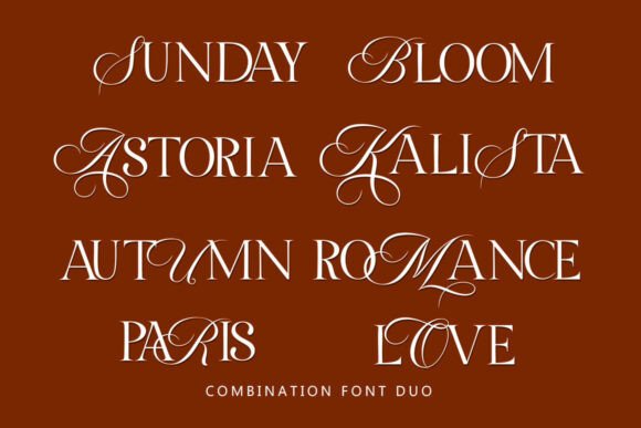 Besty Serif Font - Preview 6