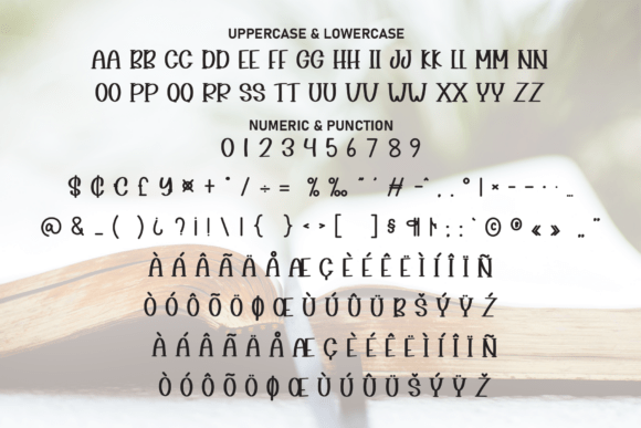 Bookmark Font - Preview 6