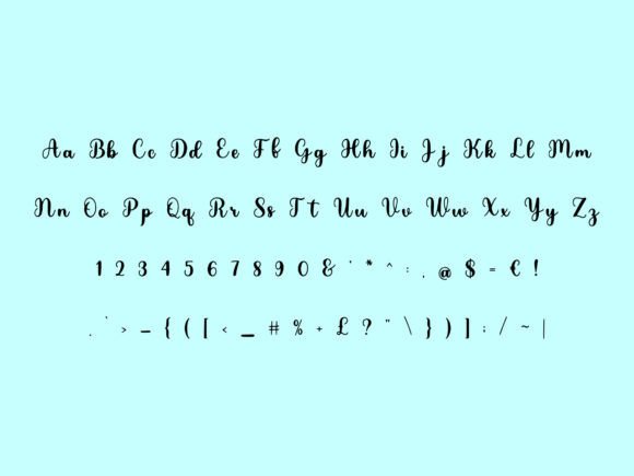 Elegant Script Font - Preview 1