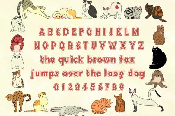Every Type of Cat Font PNG with transparent background - Preview 1