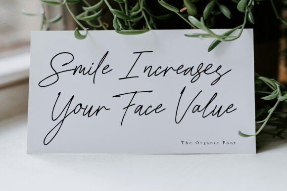 Haldi Font - Preview 2