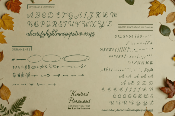 Kindred Rosewood Font - Preview 2
