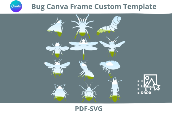 Bug Canva Frame Custom Templates