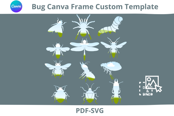 Bug Canva Frame Custom Templates