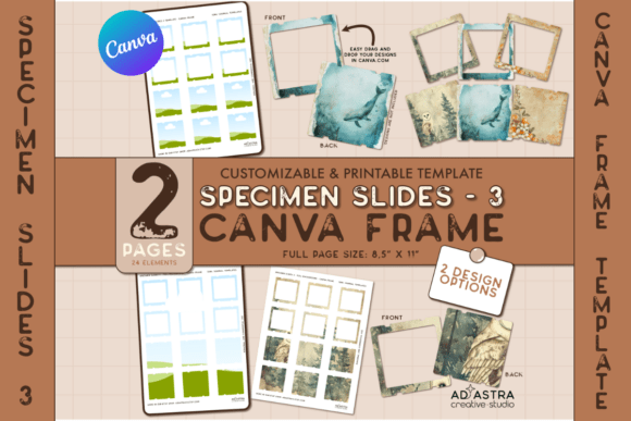 CANVA FRAME TEMPLATE / Specimen Slides 3