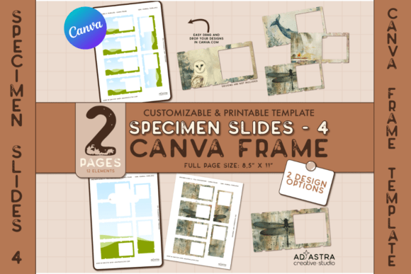 CANVA FRAME TEMPLATE / Specimen Slides 4