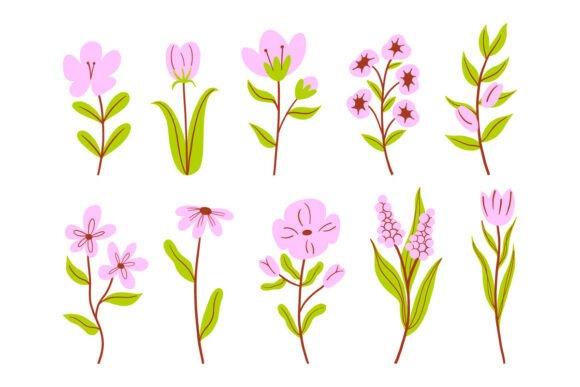 Delicate Hand Drawn Floral Elements