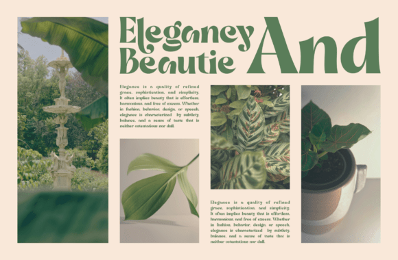 Dilley Helia Font - Preview 2