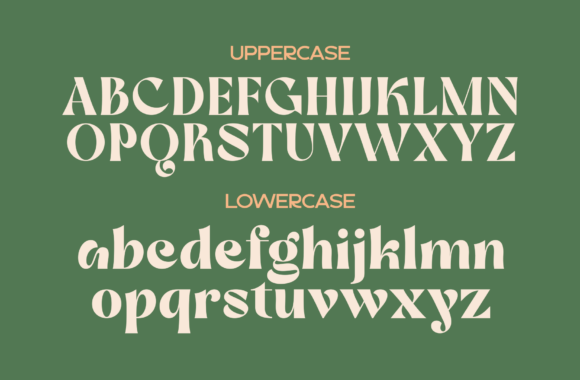 Dilley Helia Font - Preview 3