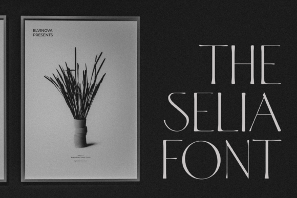 Selia Font PNG with transparent background - Preview 5