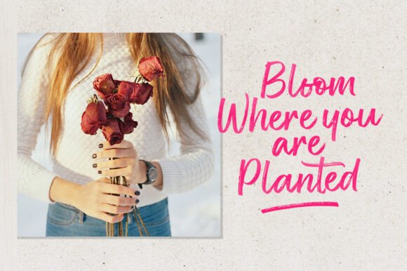 Rose Spe Font PNG with transparent background - Preview 3