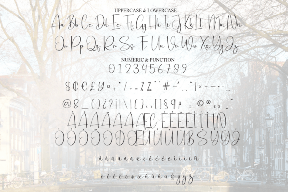 Beautiful Amsterdam Font - Preview 6