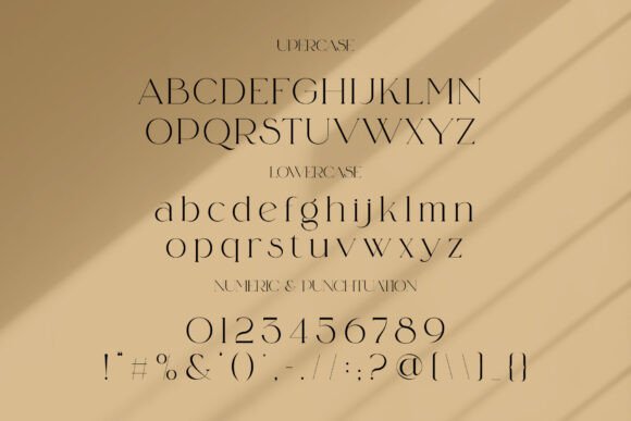 Blasing Font - Preview 4