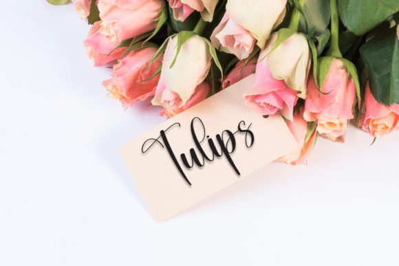 Downstairs Font PNG with transparent background - Preview 3