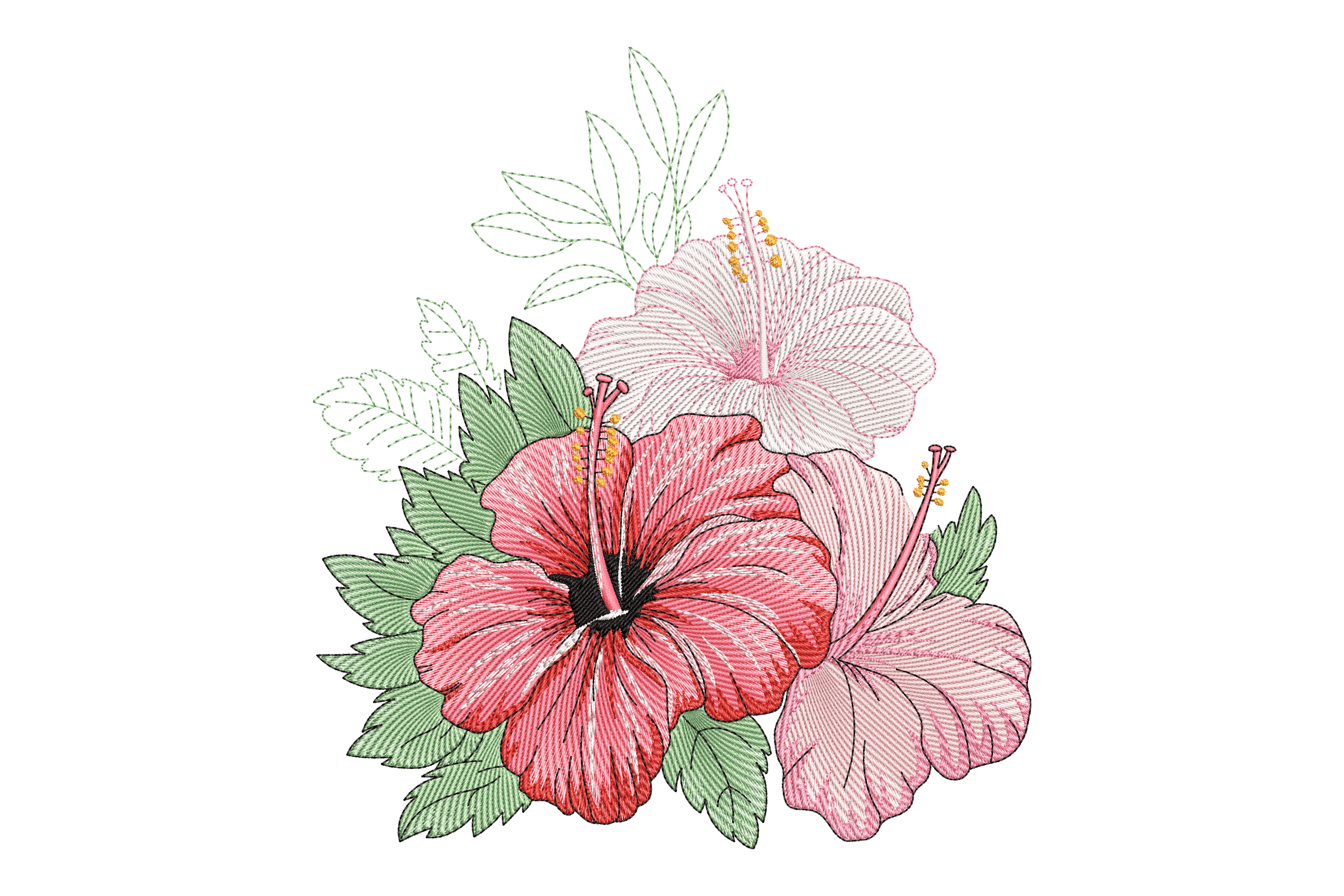 Hibiscus Flower