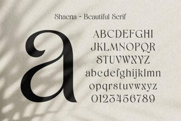 Shaena Font PNG with transparent background - Preview 2