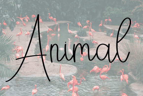 Butterfly Font - Preview 5