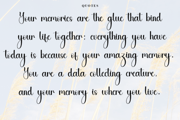 Elegant Font - Preview 4