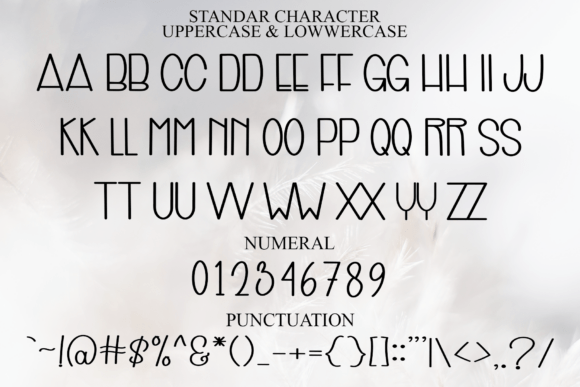 Mirror Beauty Font font preview - 4