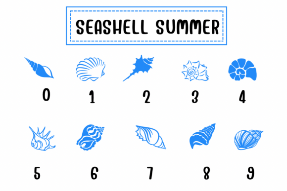 Seashell Summer Font PNG with transparent background - Preview 3