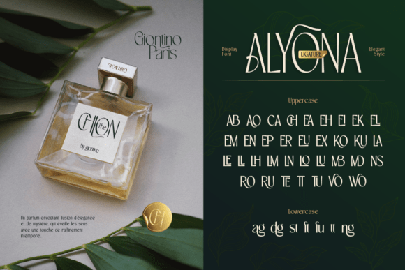 Alyona Font - Preview 3
