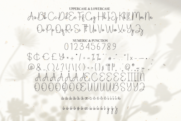 Anastasia Font - Preview 6