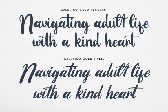 Caldrico Bold Font PNG with transparent background - Preview 4