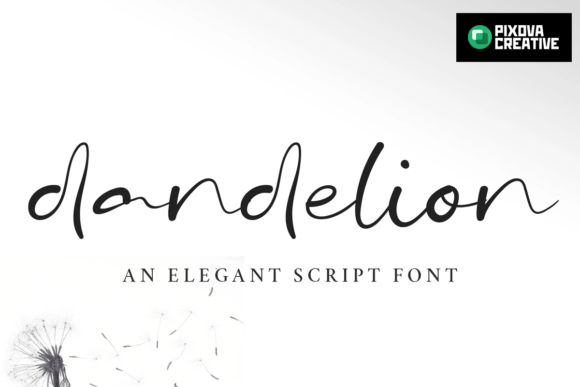 Dandelion X Signature Duo Font - Preview 1