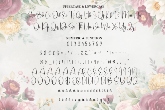 Angelina Font - Preview 6