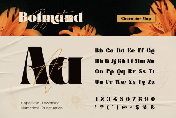 Bolmand Signature Font - Preview 1