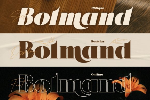 Bolmand Signature Font - Preview 3