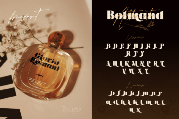 Bolmand Signature Font - Preview 4