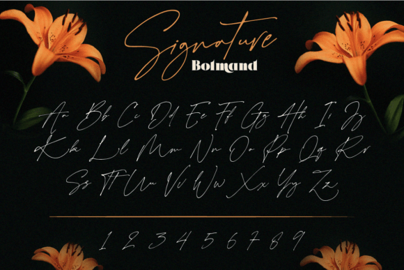 Bolmand Signature Font - Preview 5