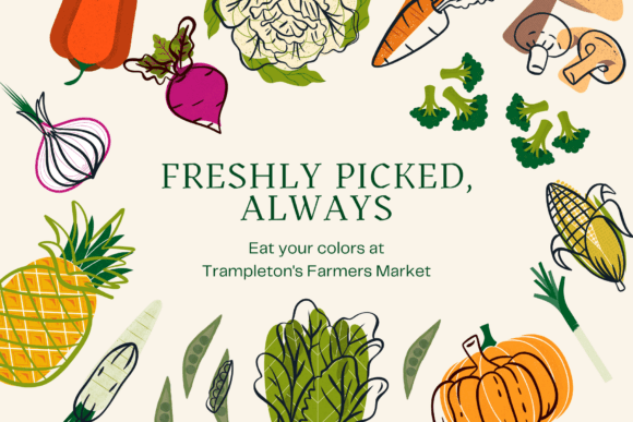 Garden Bounty Font PNG with transparent background - Preview 6