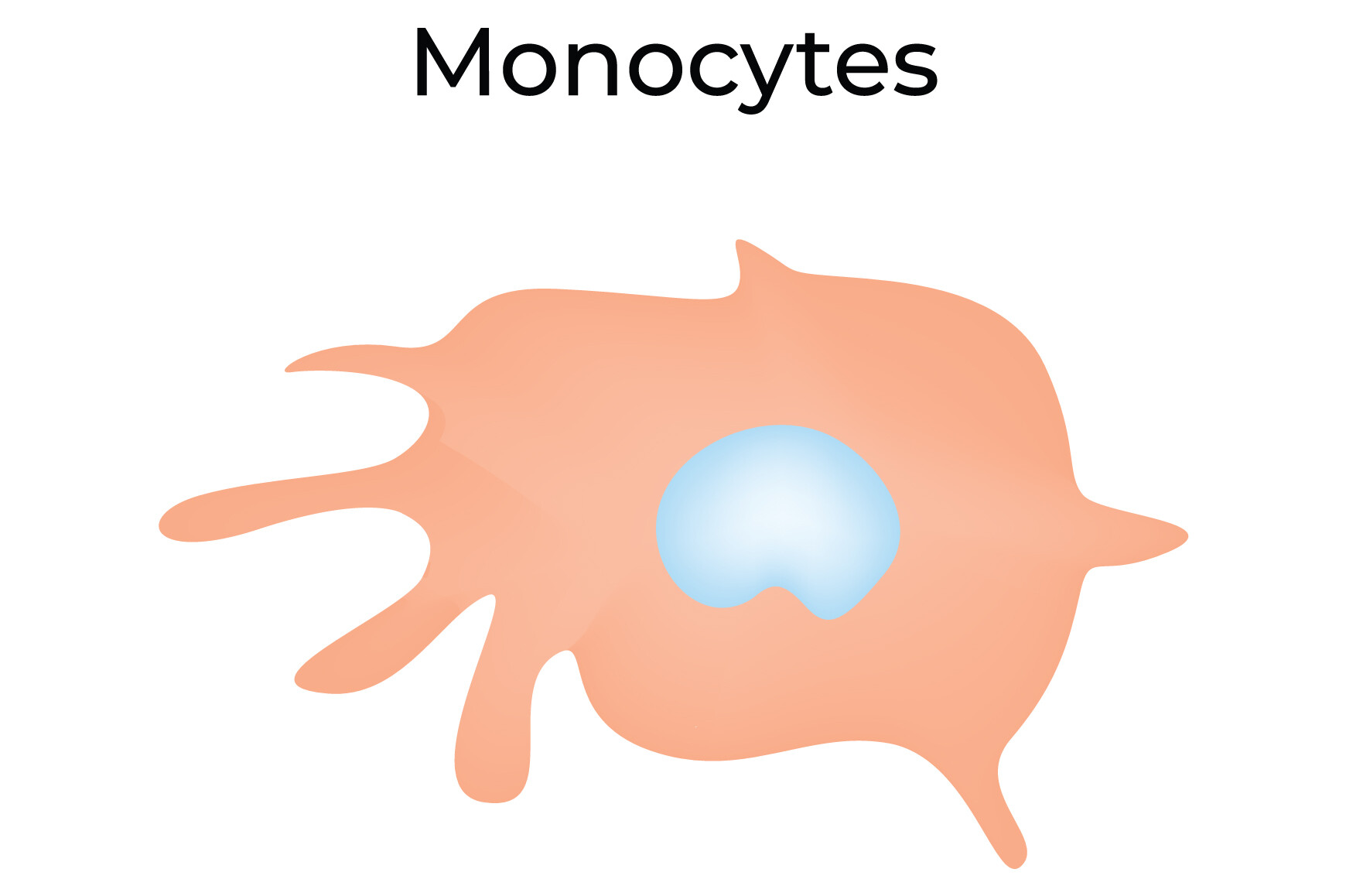 Monocyte Science Design Vector Graphic by hamjaiu · Creative Fabrica