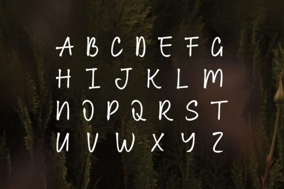 Optimis Style Font PNG with transparent background - Preview 1