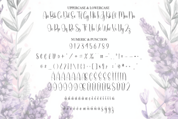 Beautiful Font - Preview 6