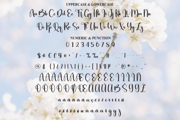 Blooming Font - Preview 6