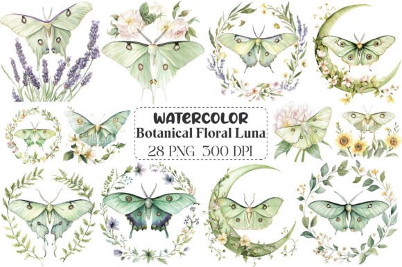 Watercolor Botanical Floral Luna Moth