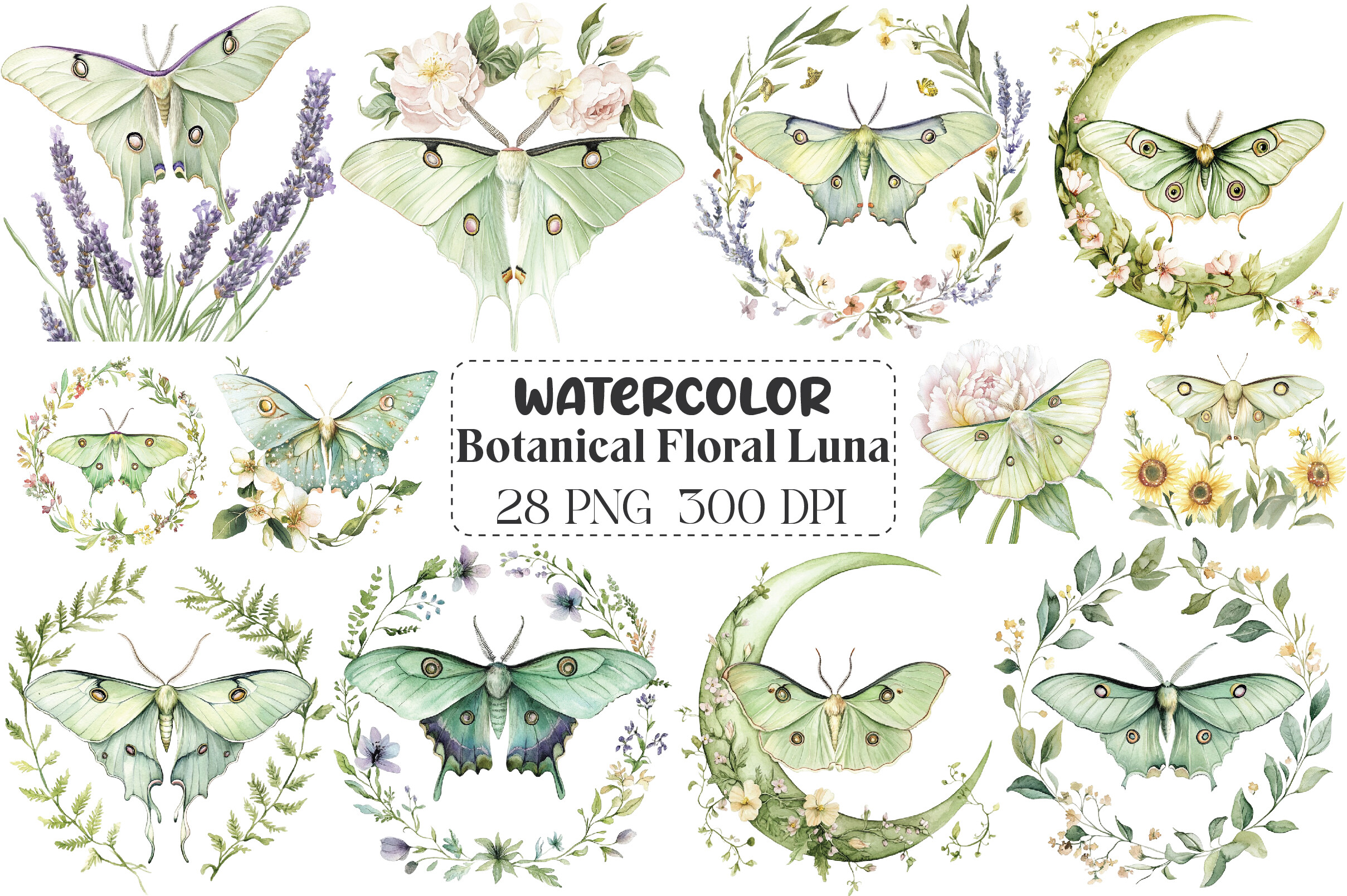 Watercolor Botanical Floral Luna Moth