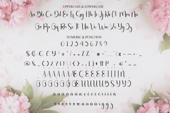 Beauty Font - Preview 6