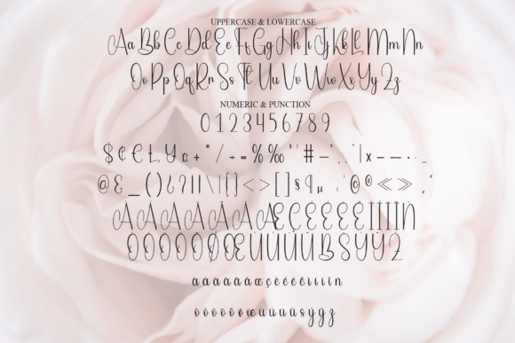 Blushing Font - Preview 6
