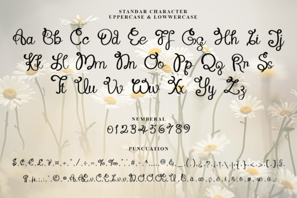 Daisy Garden Font - Preview 3