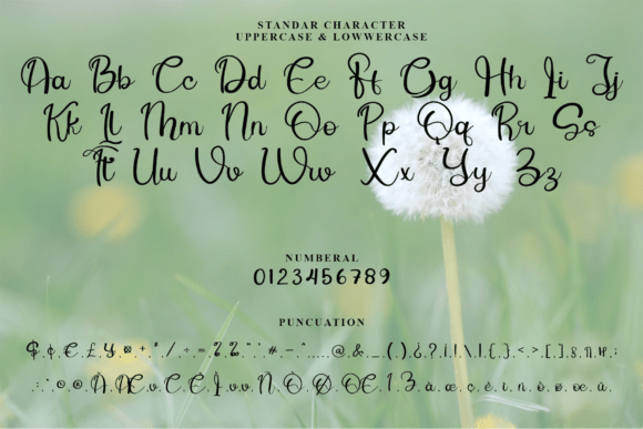 Dandelion Font - Preview 3
