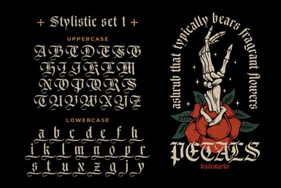 Ducky Black Font - Preview 4