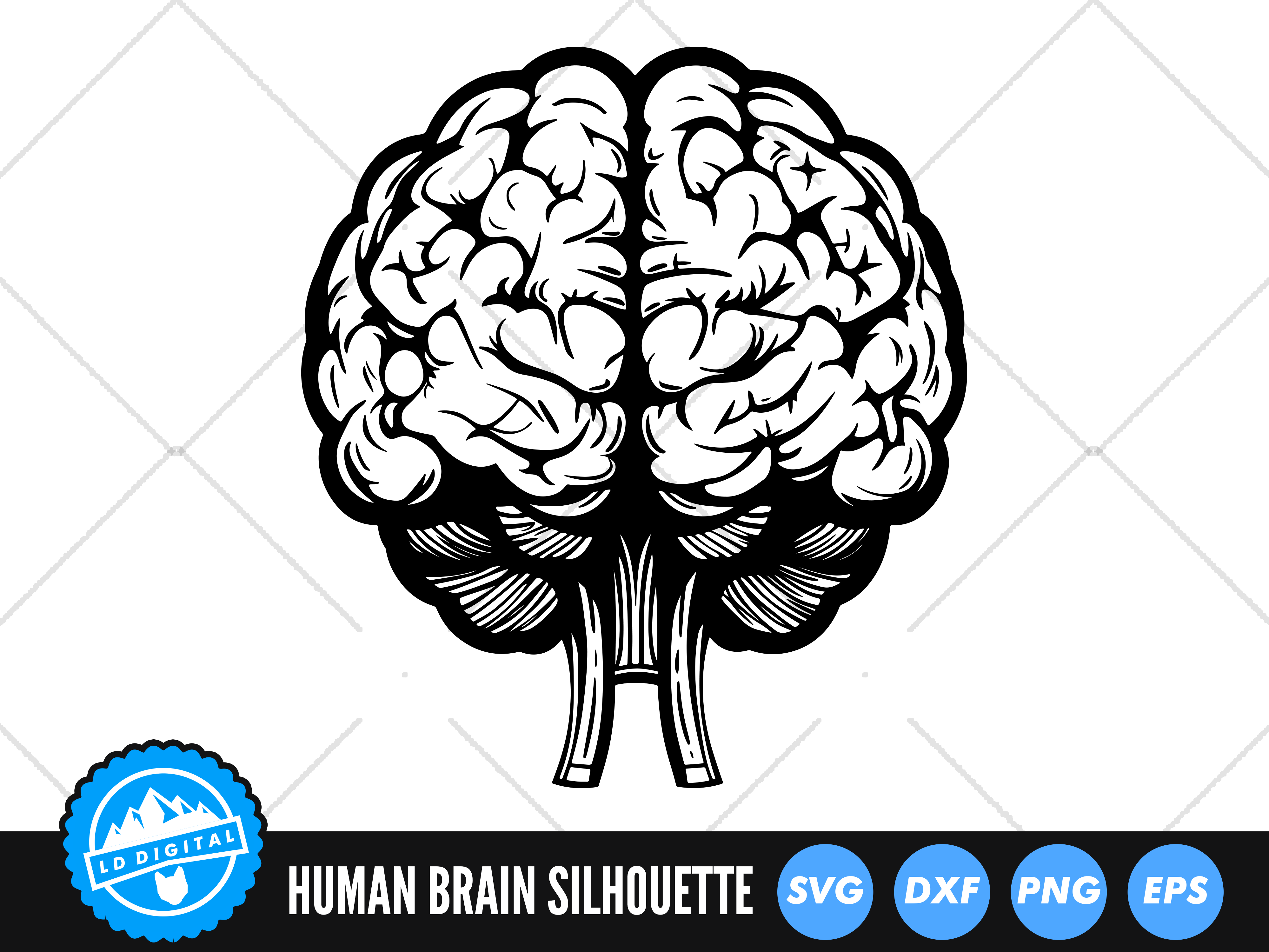 Human Brain SVG Files | Brain Cut File Graphic by lddigital · Creative ...