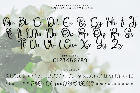 Jasmine Spring Font PNG with transparent background - Preview 3
