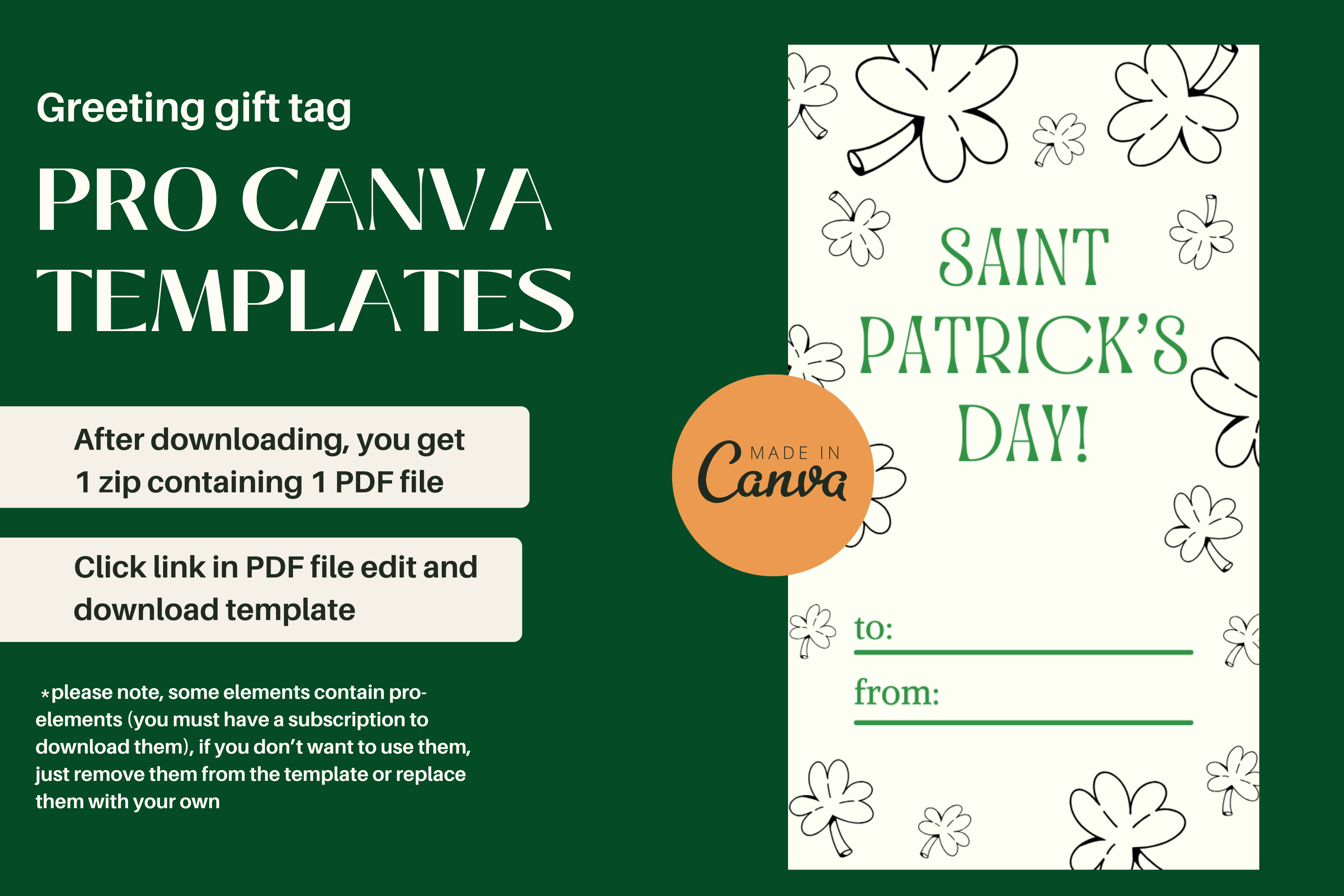 Saint Patrick's Day Greeting Gift Tag