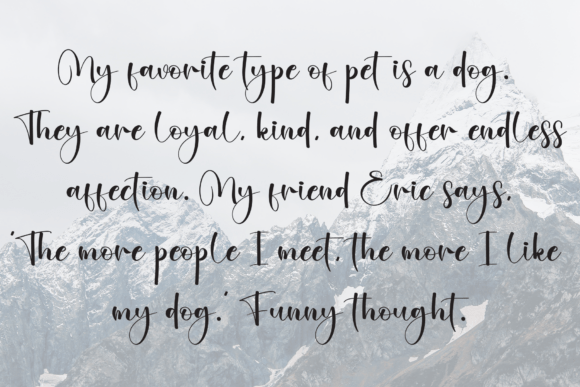 Anitha Font - Preview 5