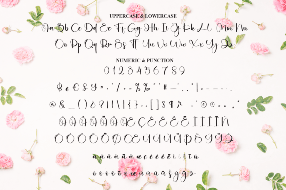 Anitha Font - Preview 6